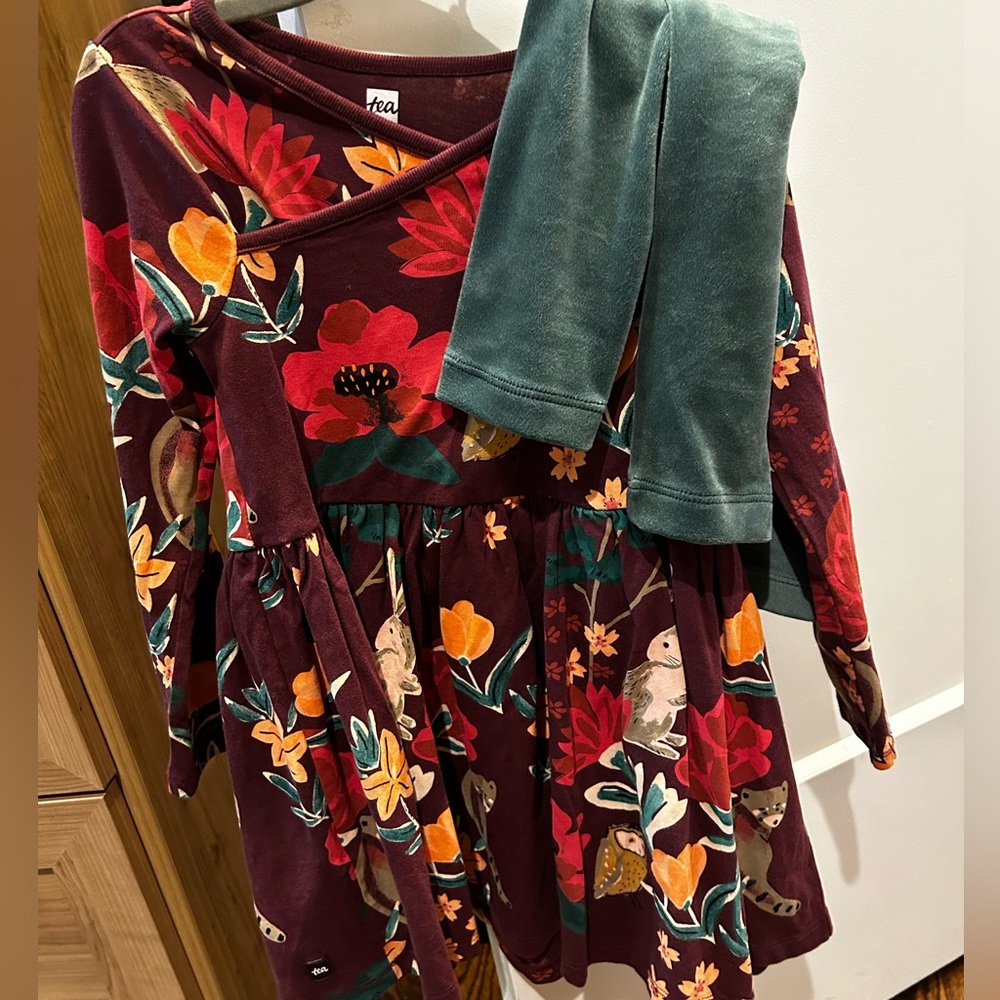 Adorable Tea Collection Dress + Leggings